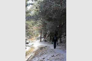 Randonne jusqu'au lac de l'Oule dans les Pyrnes