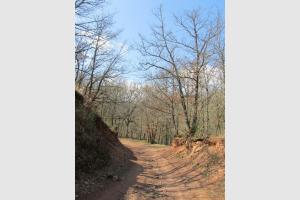 Randonne Aveyron  Ampiac