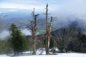 Pic du gar