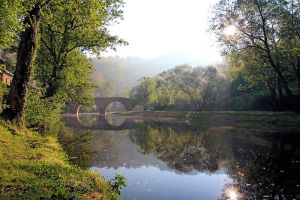 Pont de Belcastel  contrejour