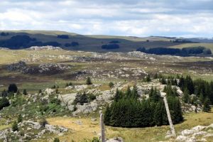 Randonne Aubrac en Lozre