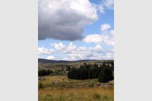 Aubrac ct Lozre