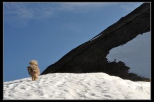 Au pied du Soum de Lviste
