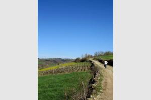 Randonne autour d'Estaing et de Saint Geniez des Ers, en Aveyron