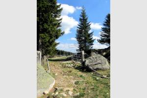 Plateau de l'Aubrac ct Lozre