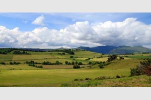 Paysage d'Auvergne