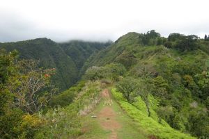 Randonne au Mont Aorai  Tahiti