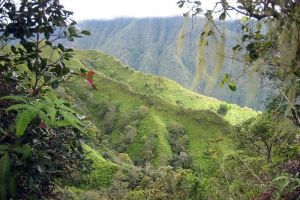 Randonne au Mont Aorai  Tahiti