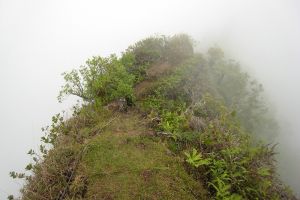 Randonne au Mont Aorai  Tahiti