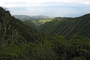 Randonne au Mont Aorai  Tahiti
