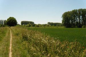 vue du circuit des marais de Laplaigne