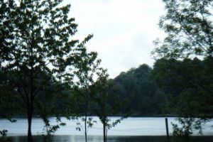 Lac de Bernissart