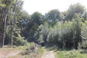 Autre vue du circuit du Marchal de Cro