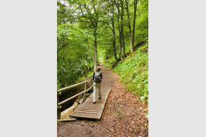 Randonne autour du lac Pavin