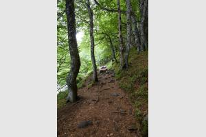 Le sentier qui fait le tour du lac Pavin dans le Massif Central