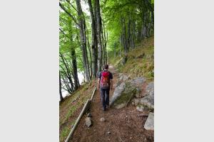Fin de la randonne autour du lac Pavin