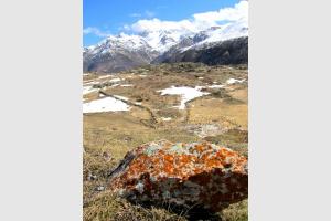 Sur le plateau de Saugu� dans les Pyr�n�es