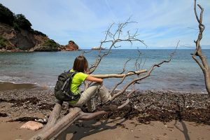 Baie de Loya