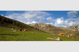 Valle de Barges