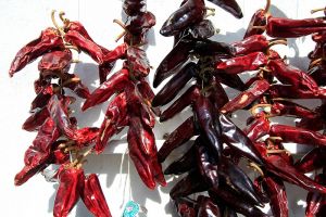 Terroir Basque et nombreuses dcouvertes