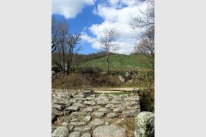 Randonne au dpart du Col de Bonnecombe sur Aubrac