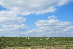 Paysage d'Aubrac, plateau pur et simple mais si beau