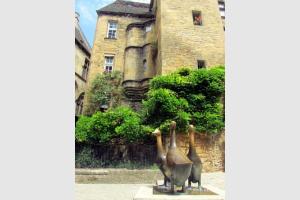 Oies sur la place de Sarlat la Canda