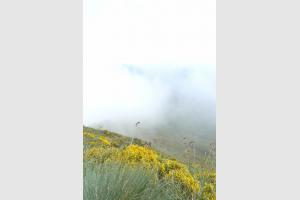 Au sommet du Puy Mary par temps brumeux 