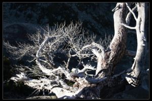 La coume de Portheil