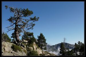 La coume de Portheil