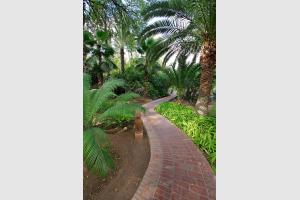 Jardin Majorelle  Marrakech