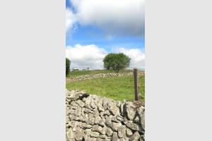 Passage sur une draille d'Aubrac