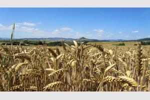 Usson sur sa montagne 