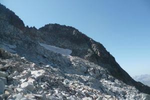 Frondella Occidental