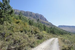 Piste grimpant au Mont Chiran dont on aperoit les barres rocheuses  gauche.