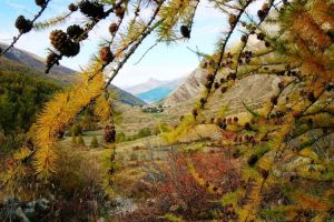 Valle de Crvoux, La Chalp