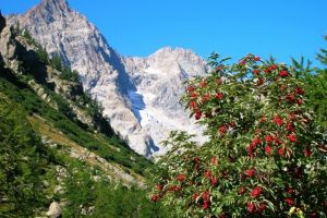 Vers le refuge des Bans Vallouise