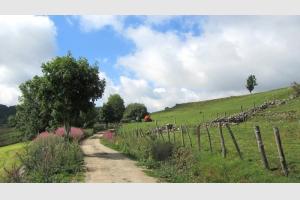 Chemin menant  la cascade du Droc sur l'Aubrac