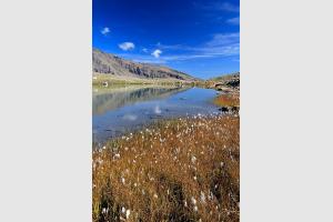 Lac Palluel
