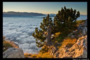 Depuis le Moucherotte