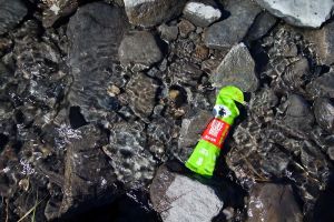 Gel Mulebar qui se baigne dans le Lac Rond