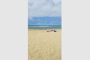 Seignosse, l'ocan et le sable