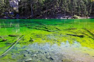 Couleurs impressionnantes du lac Vert dans les Hautes-Alpes (Lago Verde)