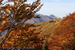Les Crtes Blanches