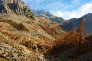 Automne roux
