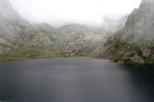 Miniature