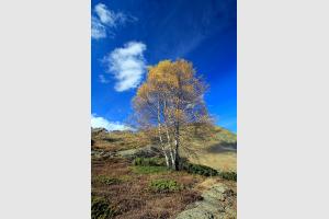 Couleurs d'automne sur le plateau de Saugu