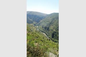 Gorges du Tarn Miniature