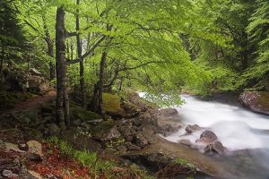 Chemin des cascades au dessus de Cauterets