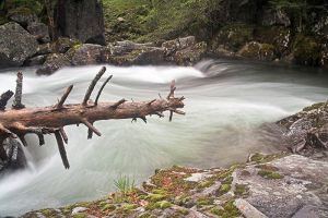 Chemin des cascades entre la Raillre et le pont d'Espagne